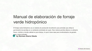 Manual de Forraje Verde Hidropónico: Producción y Beneficios