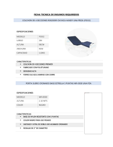 FICHA TECNICA DE INSUMOS REQUERIDOS