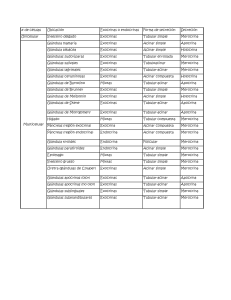 Tabla de clasificación y ubicación de glandulas