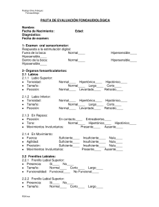 Pauta Evaluación Fonoaudiológica 0-24 Meses