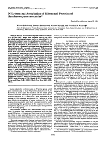 NH2-terminal Acetylation of Ribosomal Proteins in Yeast