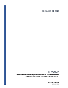 Informe: Problemáticas Vía Terminal-Aeropuerto