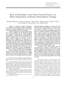 IL-1 & TNF-α in Osteoarthritis Cartilage Degradation