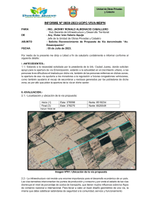 Informe N° 859 - SECCIÓN  VIAL PROPUESTA AV PUMANI