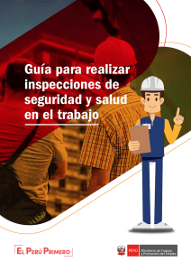 Guía para realizar inspecciones de sst