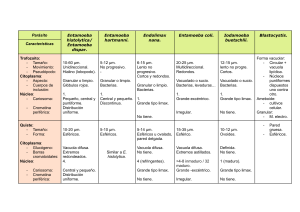 Tabla Comparativa de Protozoarios Intestinales: Características