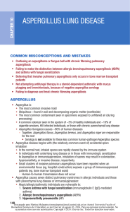 Aspergillus Lung Disease: Misconceptions, Diagnosis & ABPA