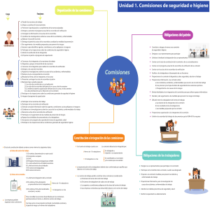 Comisiones de Seguridad e Higiene: Guía de Organización