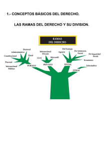 1. LAS  RAMAS DEL DERECHO