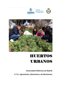 Huertos urbanos