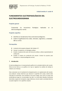 3-Electrocardiograma