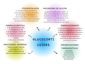 Grafico Mapa Conceptual Sencillo Multicolor