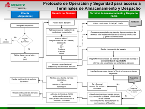 Protocolo Operaci n y seguridad