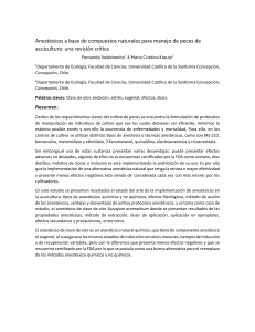 Anestesico a base de compuestos naturales para manejo de peces de acuicuñtura.