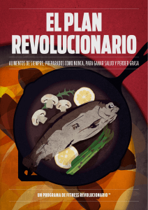 El plan revolucionario