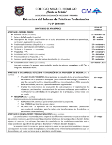 Informe de Prácticas Profesionales - Estructura y Guía