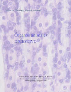 Organos digestivos, animales 