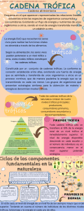 Cadenas Tróficas: Niveles, Redes y Pirámides Ecológicas