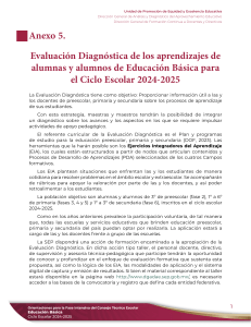 Evaluación Diagnóstica Educación Básica 2024-2025