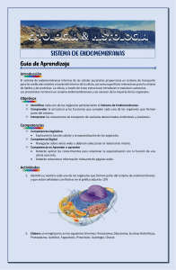 GUÍA DE APRENDIZAJE CLASE Nº8 SISTEMA DE ENDOMEMBRANAS 17 10 2022