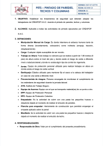 PETS Pintado: Procedimiento de Seguridad Laboral