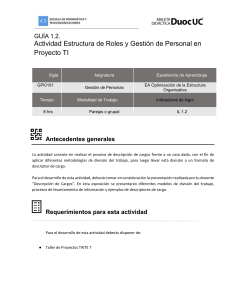 Estructura de Roles y Gestión de Personal en Proyectos TI