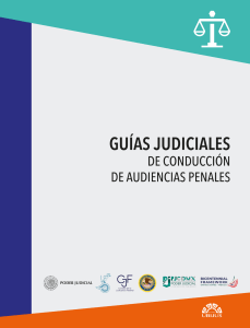 Guias Judiciales de Conduccion de Audiencias Penales Ciudad de Mexico