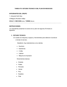 TAREA 6- ANALISIS TECNICO II DEL PLAN  DE NEGOCIOS