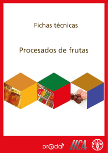 Procesados de frutas Fichas tecnicas