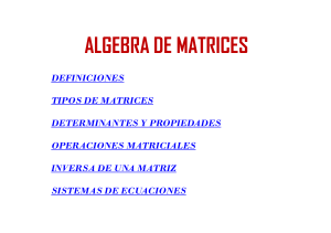 Álgebra de Matrices: Definiciones, Tipos y Operaciones