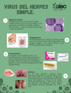 Virus del Herpes Simple: Causas, Síntomas y Tratamiento