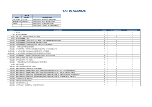 PLAN DE CUENTAS