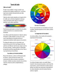 TEORÍA DEL COLOR