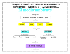 Mapa Conceptual: Ecología, Sustentabilidad y Medio Ambiente