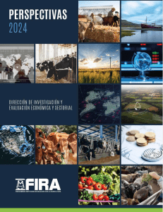 FIRA Perspectivas 2024