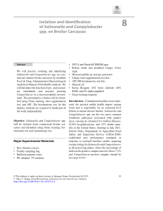 Capitulo - Camplylobacter y Salmonella