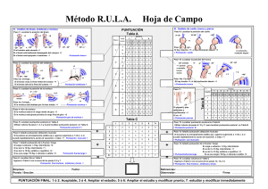 Anexo 5. RULA hoja campo