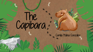 The Capybara: A Children's Book