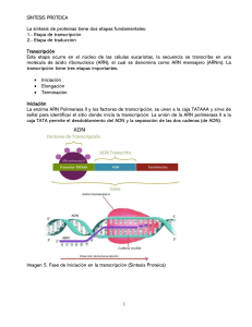 proteina (1)