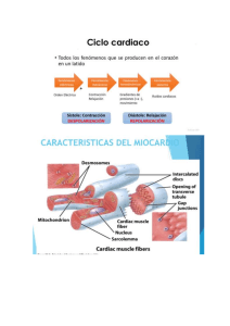 CICLO CARDIACO