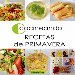 Cocineando-recetas-de-primavera-libro-PDF-gratuito (1)