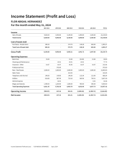 Flor Unisex Salon, PnL Report, Jan-May 2024