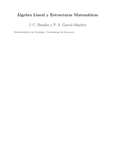 Álgebra Lineal y Estructuras Matemáticas