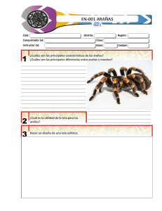 Guía de Actividades: Arañas - Explorando el Mundo Arácnido