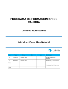 introducción al gas natural