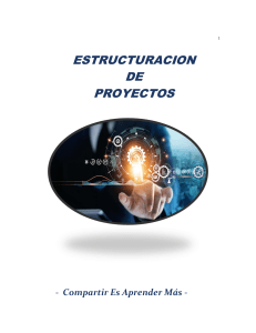 LIBRO ESTRUCTURACION DE PROYECTOS