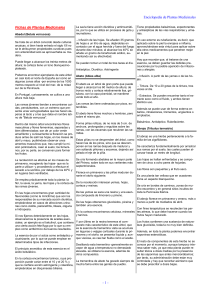 Enciclopedia de Plantas Medicinales - Fichas de Plantas