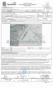 ALINEAMIENTO SUBREGIMEN 11 (PORTO I)