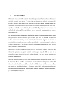 Análisis de Acción de Libertad de Jeanine Añez: Caso Golpe II