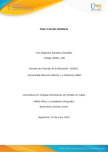 Anexo - Informe individual acción solidaria